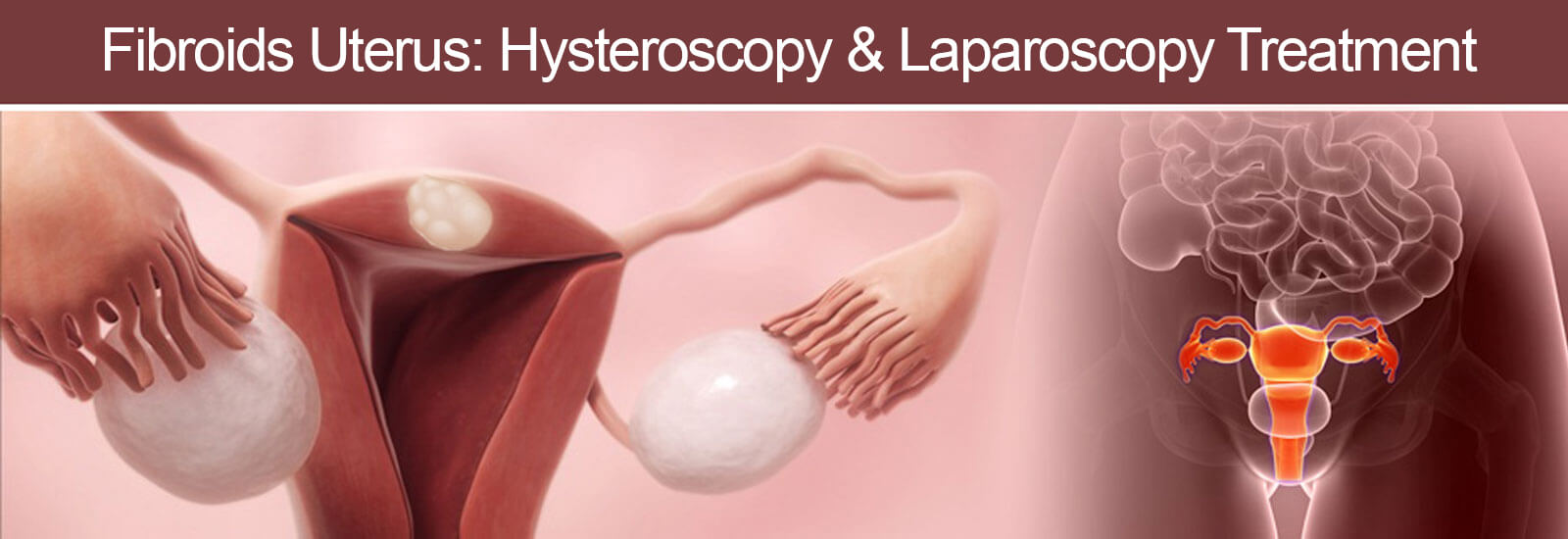 Gynecologist in Jaipur